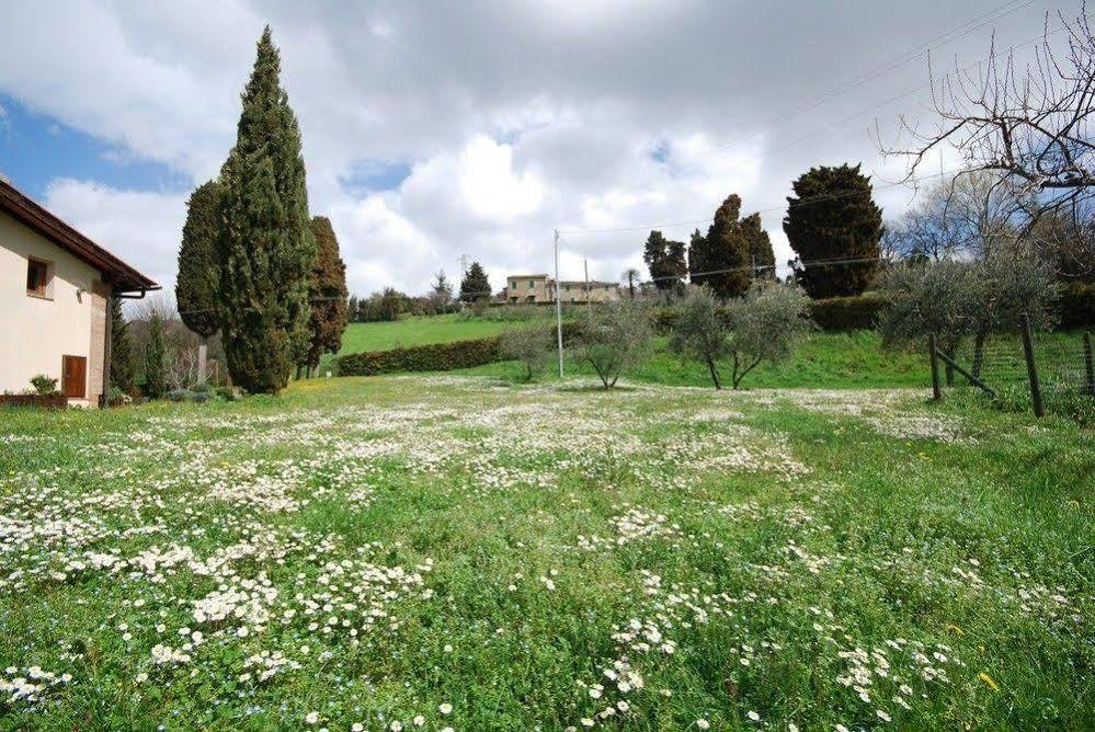 Agriturismo Villa Opera Volterra Zewnętrze zdjęcie